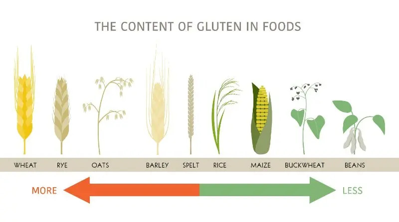 gluten free diet